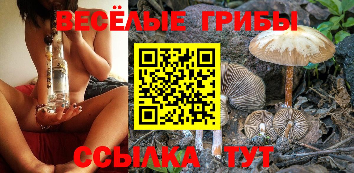 Сухой Лог  Псилоцибиновые грибы MAGIC MUSHROOMS  Вход с VPN  Псилоцибиновые грибы MAGIC MUSHROOMS 