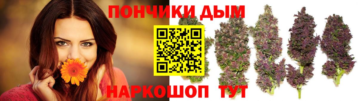 Шишки марихуана марихуана Сухой Лог